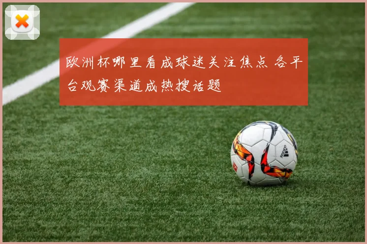 欧洲杯哪里看成球迷关注焦点 各平台观赛渠道成热搜话题