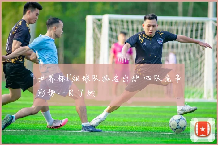 世界杯F组球队排名出炉 四队竞争形势一目了然