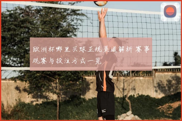 欧洲杯哪里买球正规渠道解析 赛事观赛与投注方式一览