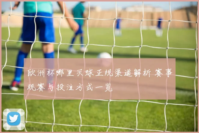 欧洲杯哪里买球正规渠道解析 赛事观赛与投注方式一览