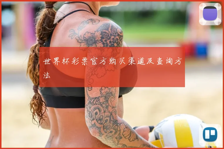 世界杯彩票官方购买渠道及查询方法