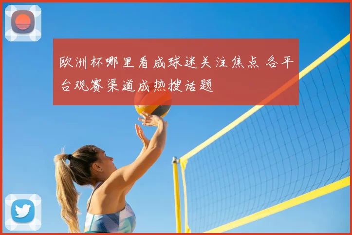 欧洲杯哪里看成球迷关注焦点 各平台观赛渠道成热搜话题